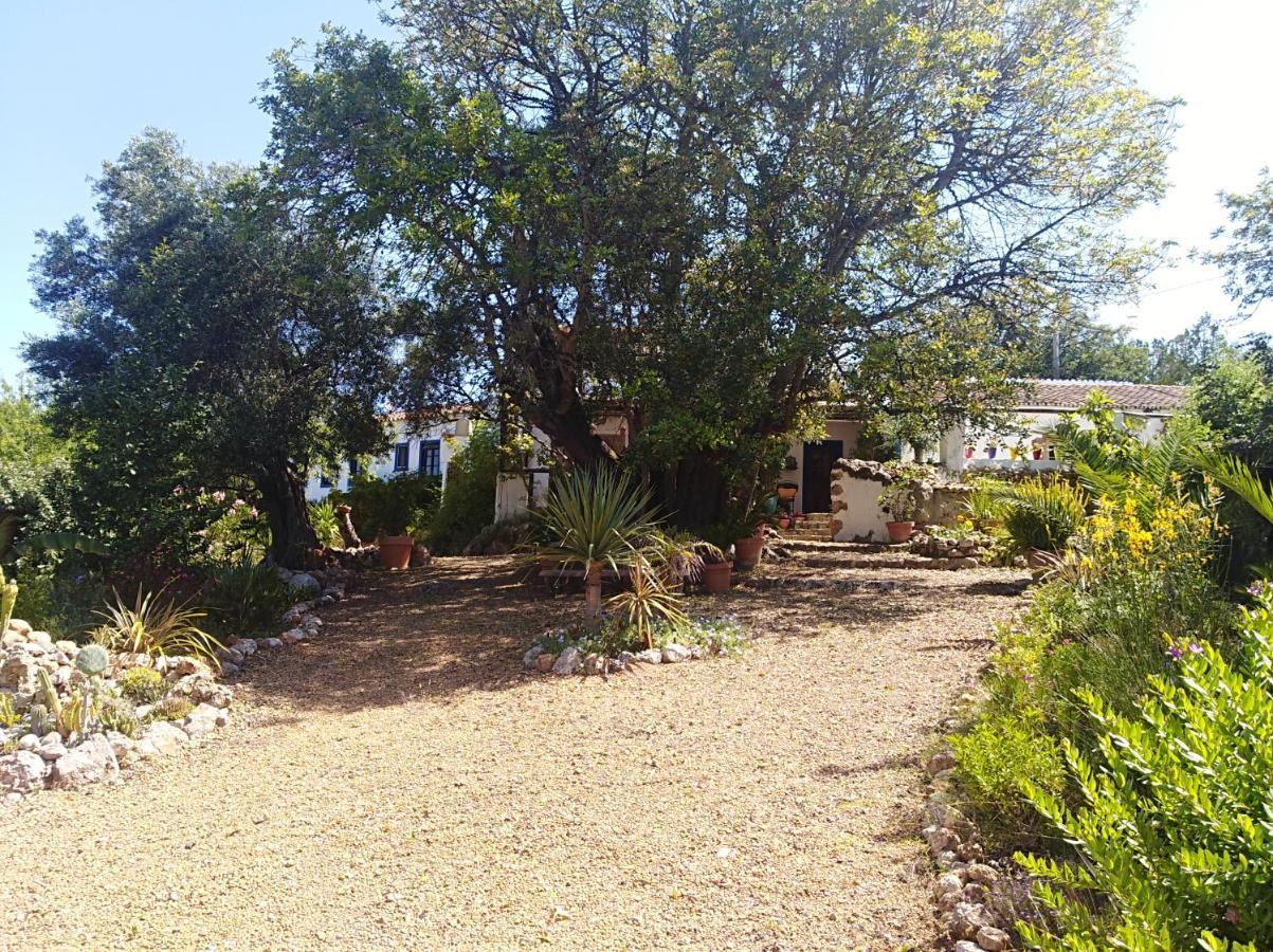 Quinta Dos Valados Bed & Breakfast Querenca Екстериор снимка
